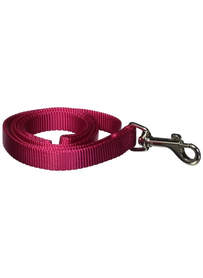 Hamilton Pet & Equine Hamilton 4-Feet Long Single Thick Deluxe Nylon Lead with Swivel Snap, 5/8-Inch, Raspberry Red