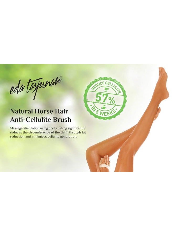 EDA Taspinar Anti-Cellulite Dry Brush Natural Horse Hairbrush |Removes Cellulite by 57% in 5 Weeks |Exfoliating Body Scrubber | Improves | Lymphatic | Function | Silky Skin | Animal Friendly - Image 5
