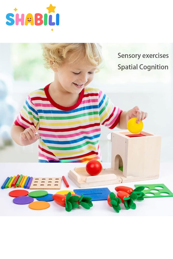 شبيلي صندوق مونتيسوري خشبي 4 في 1 لثبات الكائن مع فرز الأشكال، لعبة تعليمية للأطفال من عمر 1–3 سنوات للبنين والبنات، هدية تعليم مبكر لألعاب المنزل والحضانة (خشب طبيعي) - Image 2