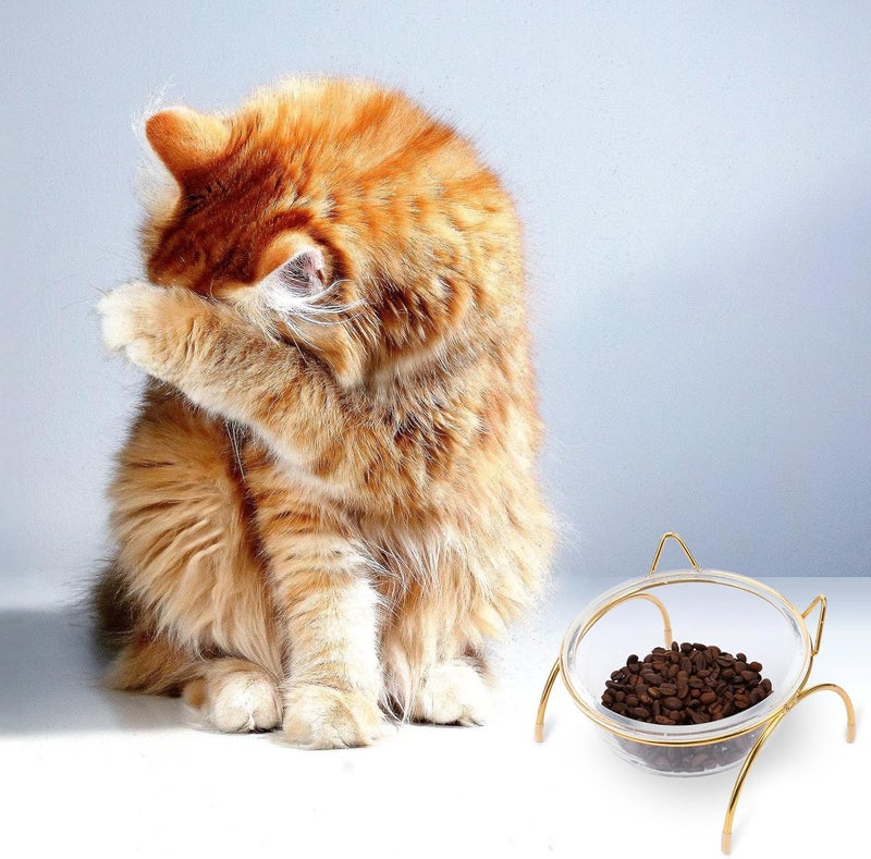Raised Cat Feeding Bowl Set Slant Glass Bowl and Iron Stand Pet Food Feeder for Neck Protection and Comfortable Eating - Image 4