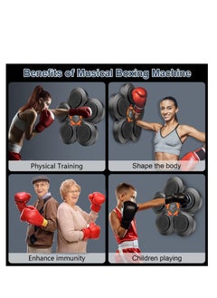 Spall Boxing Training Machine, Wall Mounted, Smart Bluetooth, Boxing Gloves, 76 cm  - Image 2