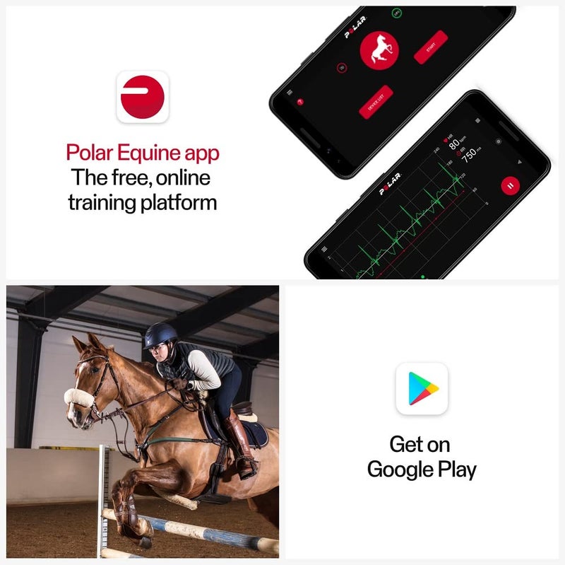 POLAR مستشعر معدل ضربات القلب POLAR Equine H10 لركوب الخيل - Image 5