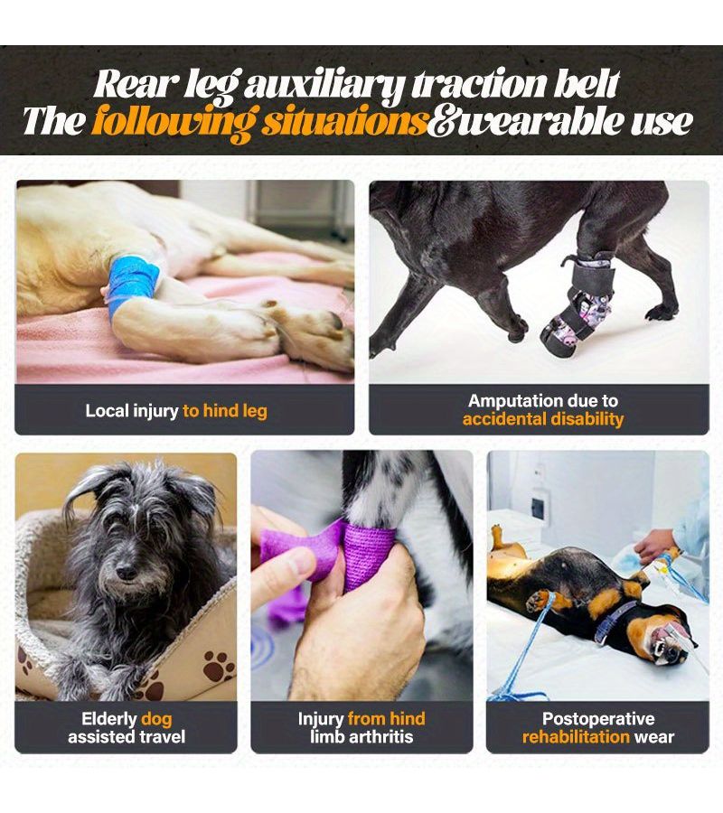 Black S Dog Spinal Support Harness With Breathable Mesh For Aging Dogs Walking Training And Staircase Protection Suitable For All Breeds - Image 2