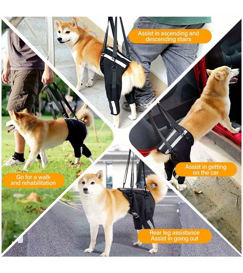 Black S Dog Spinal Support Harness With Breathable Mesh For Aging Dogs Walking Training And Staircase Protection Suitable For All Breeds - Image 5