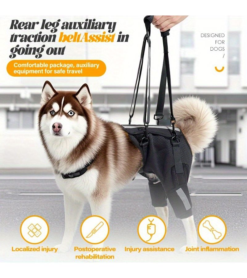 Black S Dog Spinal Support Harness With Breathable Mesh For Aging Dogs Walking Training And Staircase Protection Suitable For All Breeds - Image 3