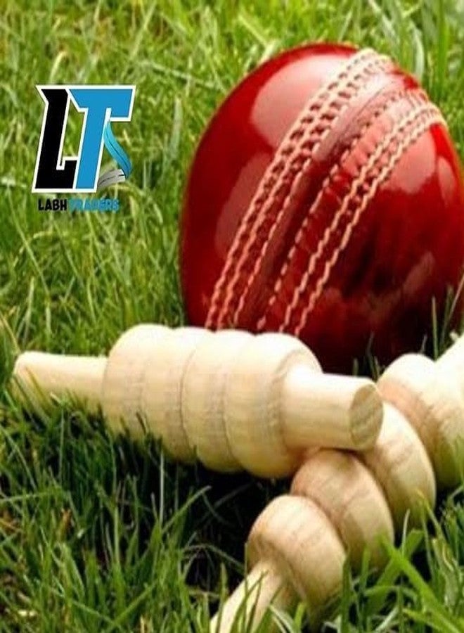 LABH TRADERS Professional Cricket Ball, Red Leather - Image 3