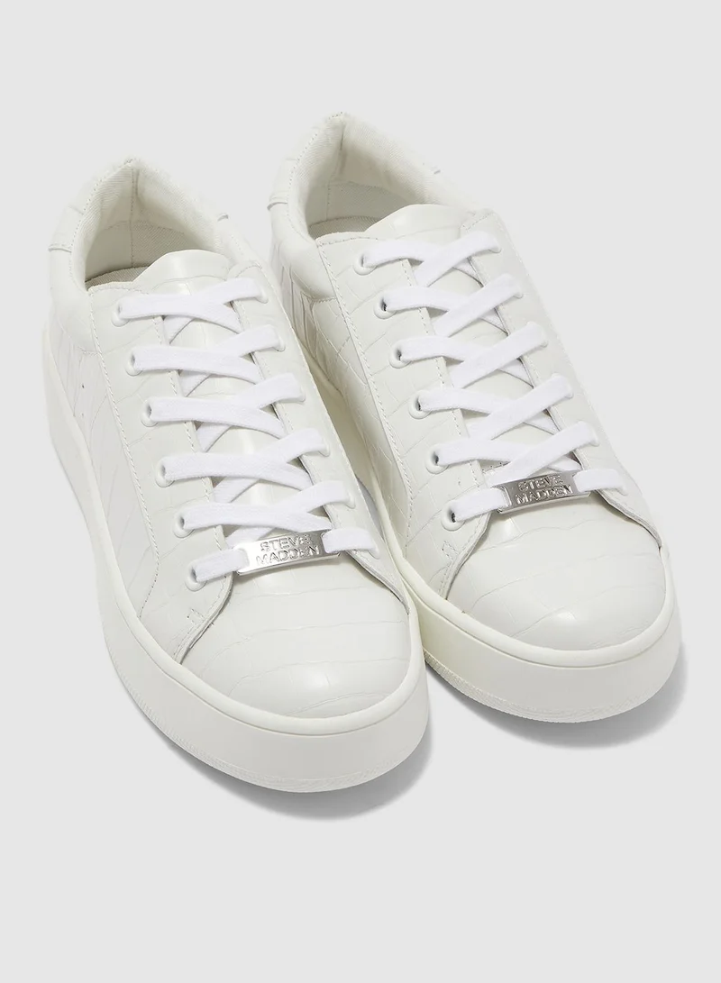 STEVE MADDEN Bertie Low Top Sneaker - White