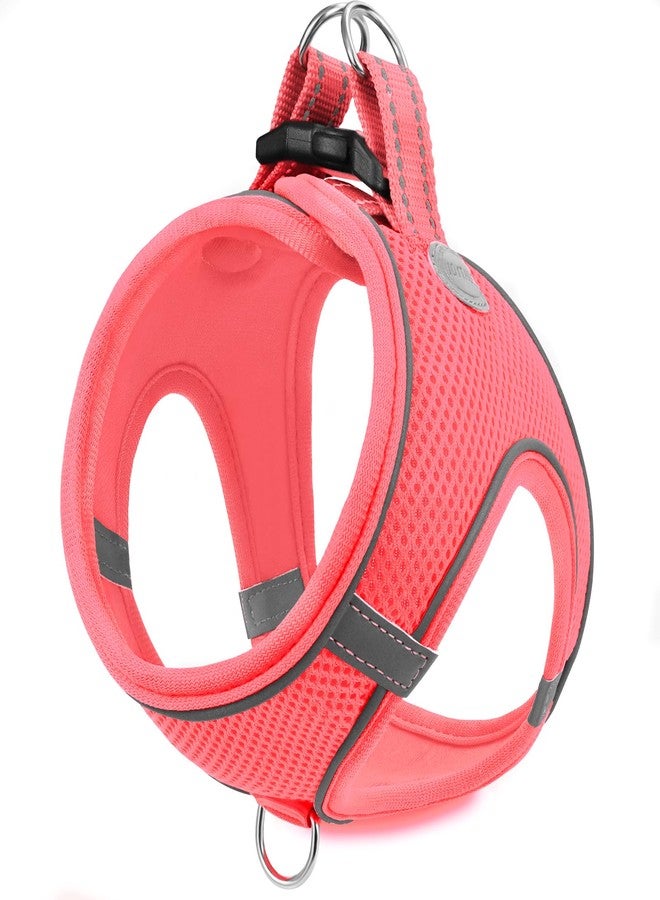Joytale Small Dog Harness, Breathable Mesh Step-in Vest, Reflective Soft Padded Harnesses for Puppies and Extra Small Dogs, Pink, XS - Image 1