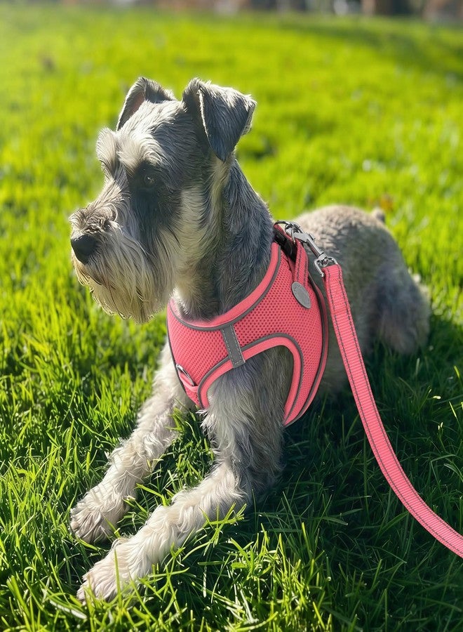 Joytale Small Dog Harness, Breathable Mesh Step-in Vest, Reflective Soft Padded Harnesses for Puppies and Extra Small Dogs, Pink, XS - Image 2