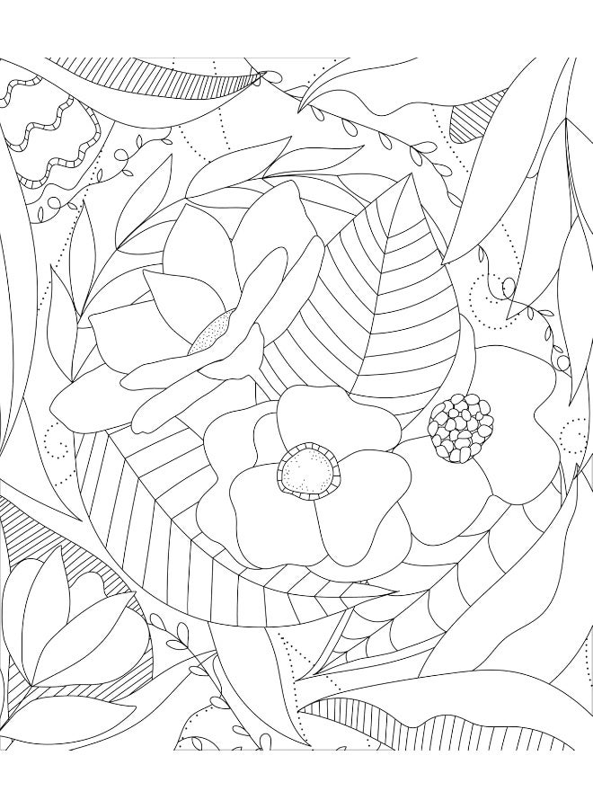 Large Print Colour & Frame - Flowers (Colouring Book for Adults): 31 Relaxing Colouring Pages to Enjoy - Image 3