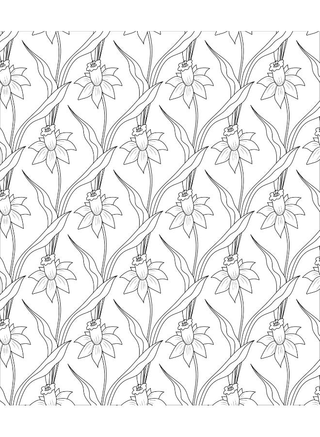 Large Print Colour & Frame - Flowers (Colouring Book for Adults): 31 Relaxing Colouring Pages to Enjoy - Image 5