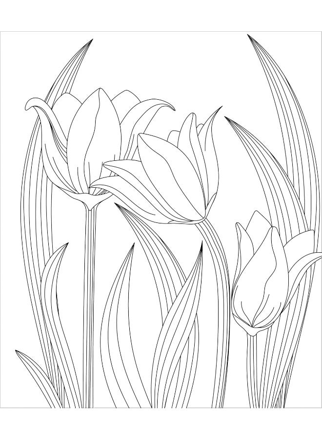 Large Print Colour & Frame - Flowers (Colouring Book for Adults): 31 Relaxing Colouring Pages to Enjoy - Image 4