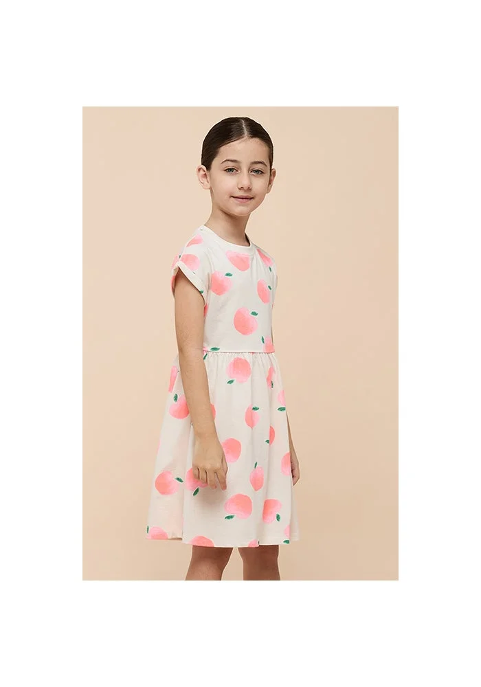 أر أند بي Printed Flared Dress with Crew neck and Short Sleeves