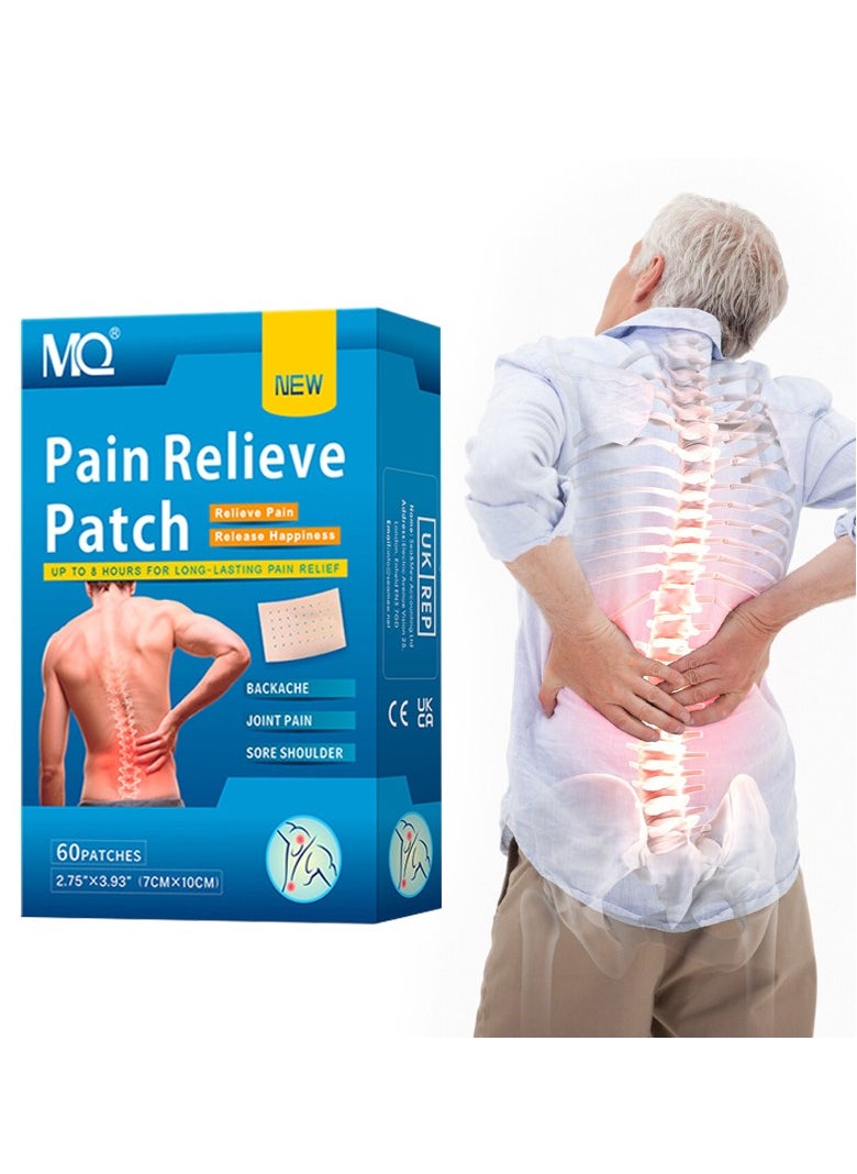 Herbal Pain Relief Patches (60PCS) – Warming Heat Patches for Back, Knee, Neck & Shoulder Pain, Arthritis & Joint Ache Relief, Penetrating Heat Action, Targeted Comfort - pzsku/ZED12FCCBDC6D7BAD5E86Z/45/_/1735285776/4bfc5f0b-a670-4981-8fed-6874f354b02b