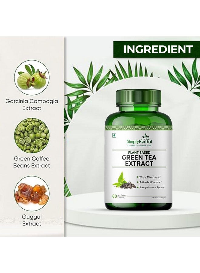 Simply Herbal كبسولات مستخلص الشاي الأخضر 500 ملغ من سيمبلي هيربال لفقدان الدهون | مكمل معزز لعملية الأيض يدعم إدارة الوزن الصحية وتنظيم الشهية - 60 كبسولة لكل عبوة، عبوة من 3 - Image 2