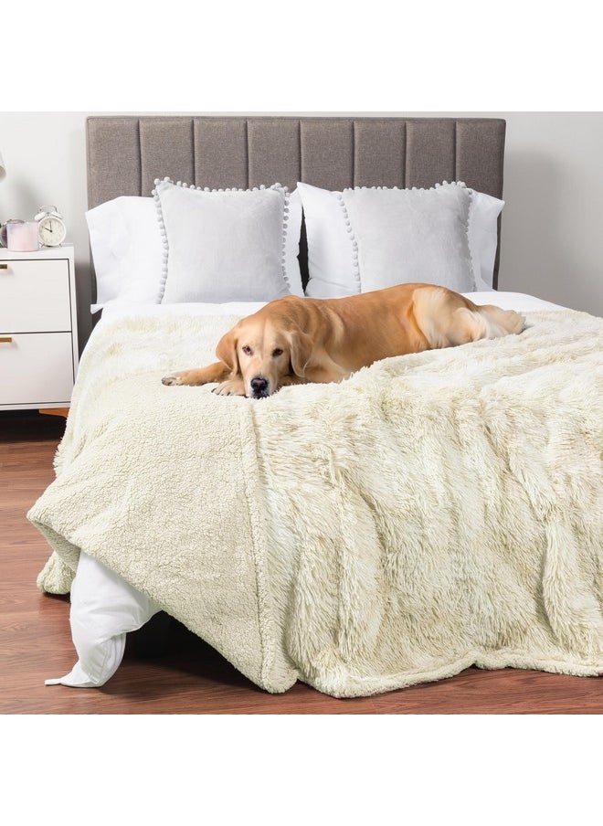 PetAmi Waterproof Dog Blanket For Large Dog, Calming Pet Blanket Bed Couch Cover Protector, Washable Sherpa Faux Fur Throw For Sofa Furniture Protection, Soft Fluffy 60X80 Cream Beige  - Image 1