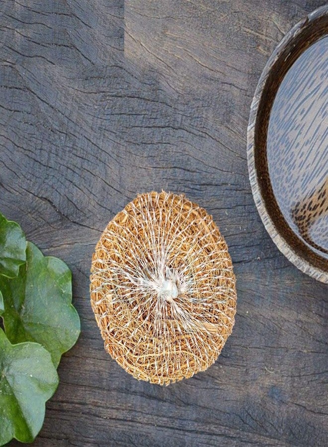 KPETALSHIP مقشر الجسم الطبيعي بنجيل الهند من KPETALSHIP® | لطيف على البشرة | قابل لإعادة الاستخدام | صديق للبيئة - (عبوة من 6 قطع) - Image 5