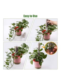 Generic Climbing and Aerial Rooting Pole for Pothos and Indoor Plants – Plastic Moss-Filled Support  - Image 3