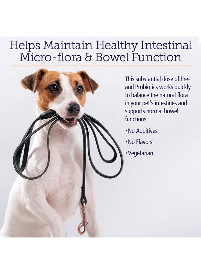 ركس فيتامينز فيتامينات Rx Biotic - مسحوق بروبيوتيك للكلاب والقطط - دعم هضم القطط وبروبيوتيك لصحة أمعاء الكلاب - بروبيوتيك للقطط المنزلية - بروبيوتيك للكلاب لصحة الجهاز الهضمي - 2.12 أونصة - Image 4