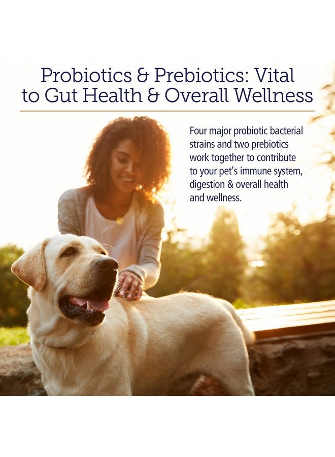 ركس فيتامينز فيتامينات Rx Biotic - مسحوق بروبيوتيك للكلاب والقطط - دعم هضم القطط وبروبيوتيك لصحة أمعاء الكلاب - بروبيوتيك للقطط المنزلية - بروبيوتيك للكلاب لصحة الجهاز الهضمي - 2.12 أونصة - Image 2