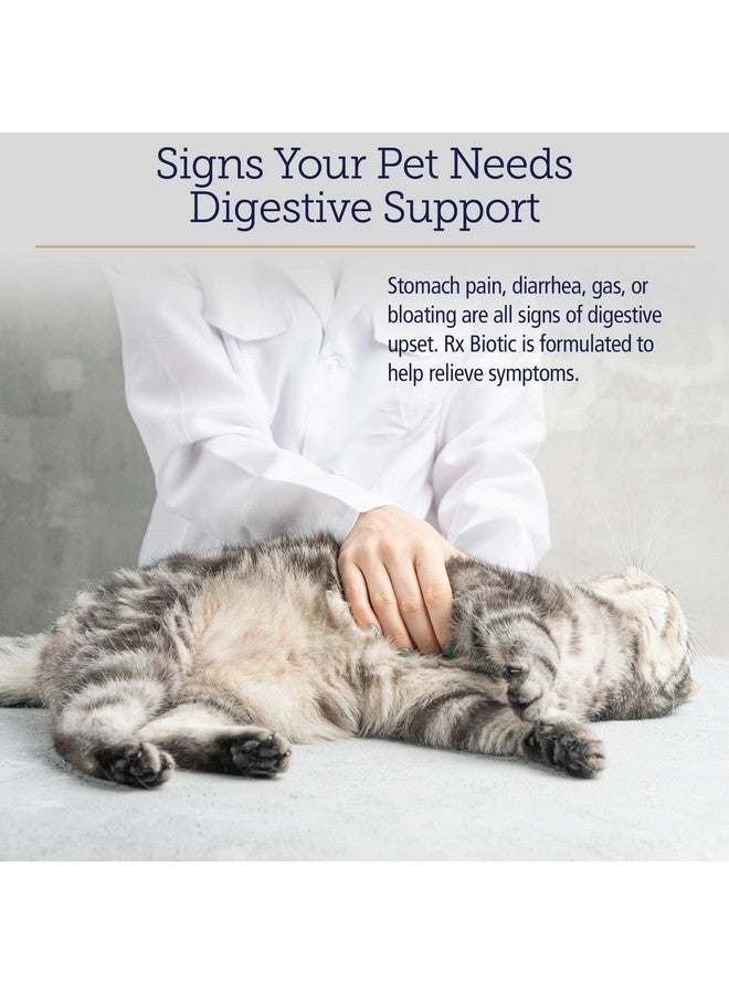 ركس فيتامينز فيتامينات Rx Biotic - مسحوق بروبيوتيك للكلاب والقطط - دعم هضم القطط وبروبيوتيك لصحة أمعاء الكلاب - بروبيوتيك للقطط المنزلية - بروبيوتيك للكلاب لصحة الجهاز الهضمي - 2.12 أونصة - Image 3