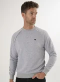 فيليكس هاردي Grey
