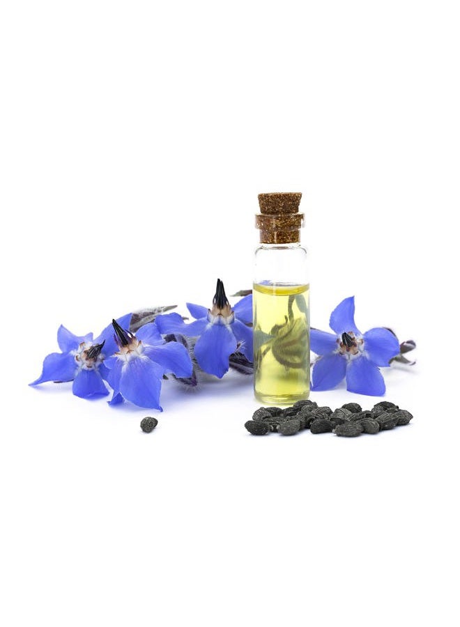 OPO Borage Seed Oil - 32 oz - Pure Unrefined Non GMO, High GLA, Bulk Natural Carrier Oil Moisturizer for Skin Hair Nails Body Soaps DIY & More - Liquid Borago Virgin Vegan - Image 5