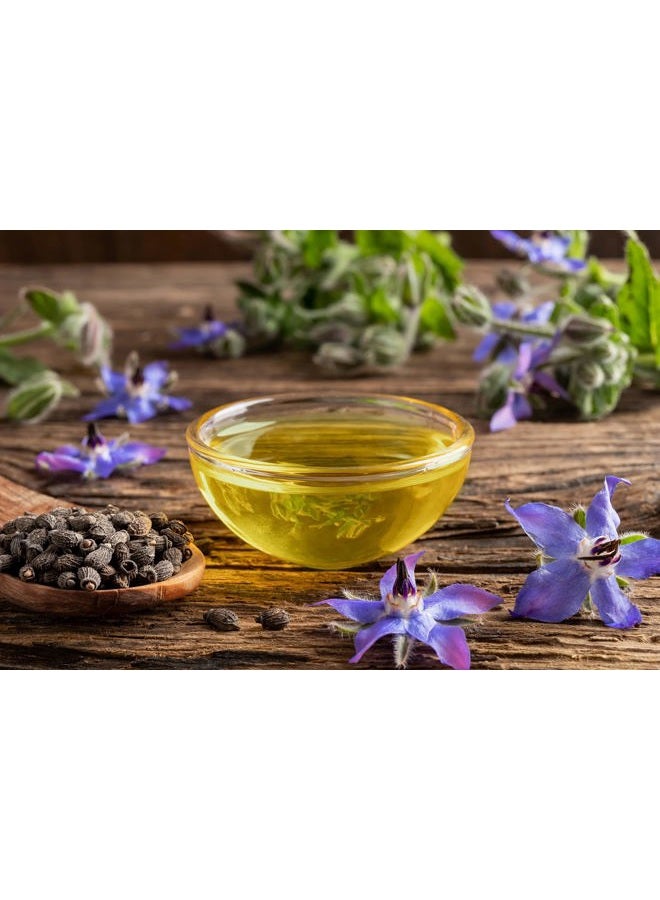 OPO Borage Seed Oil - 32 oz - Pure Unrefined Non GMO, High GLA, Bulk Natural Carrier Oil Moisturizer for Skin Hair Nails Body Soaps DIY & More - Liquid Borago Virgin Vegan - Image 4