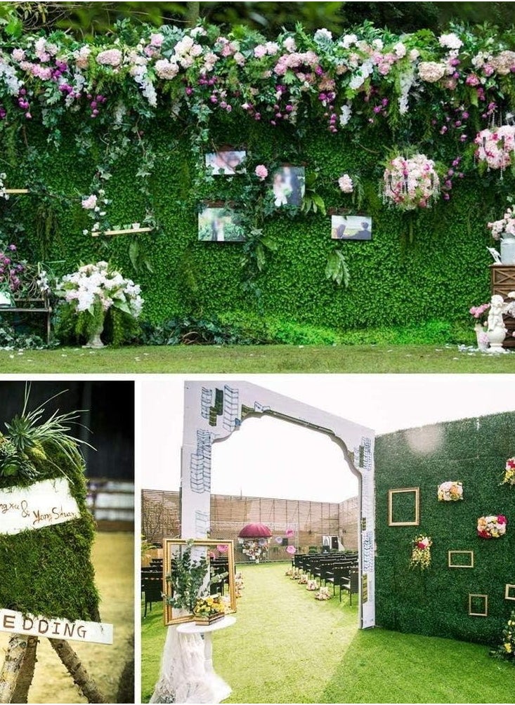 10 Piece Artificial Wall Grass