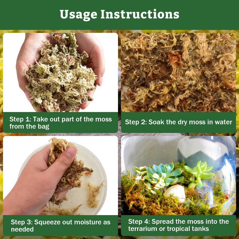 Riare 5.3OZ Premium Sphagnum Moss for Reptiles- 6QT Natural Reptile Moss Dried, Forest Live Moss for Terrarium, Frogs Snake Peat Moss Bedding for Leopard Gecko Turtle Anoles Salamanders Orchids - Image 4