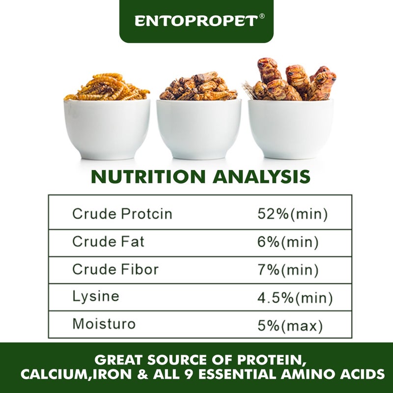 إنتوبروبت ديدان الوجبة المجففة والصراصير المجففة - أعلى في الكالسيوم وأغنى في البروتين - طعام مكافآت مميز للدراغون الملتحي، السلاحف، الطيور والأسماك الاستوائية، 5 أونصات - Image 5