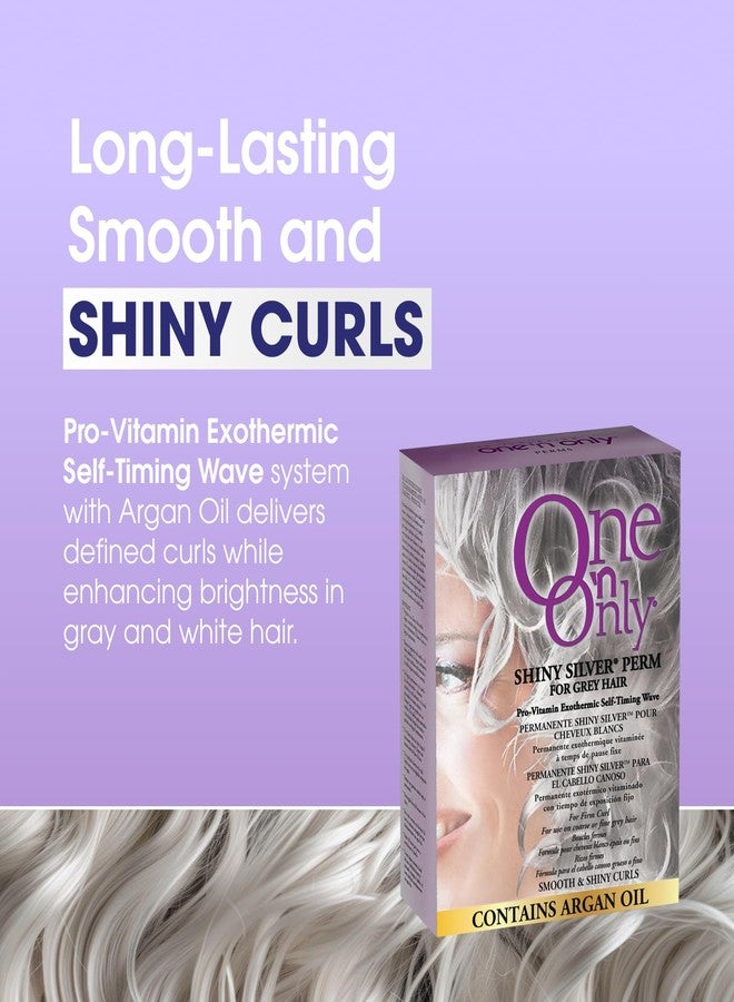 ون آند أونلي مجموعة One 'n Only Shiny Silver Perm Kit - تجعيد الشعر المنزلي ذاتي التسخين للنساء بزيت الأرغان - علاج للشعر للحصول على تجعيدات ناعمة وسهلة التصفيف مع الشعر الرمادي (علبة واحدة) - Image 2