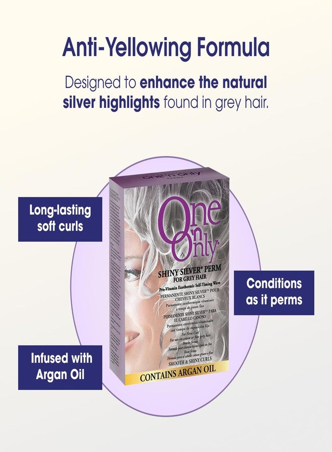 ون آند أونلي مجموعة One 'n Only Shiny Silver Perm Kit - تجعيد الشعر المنزلي ذاتي التسخين للنساء بزيت الأرغان - علاج للشعر للحصول على تجعيدات ناعمة وسهلة التصفيف مع الشعر الرمادي (علبة واحدة) - Image 5