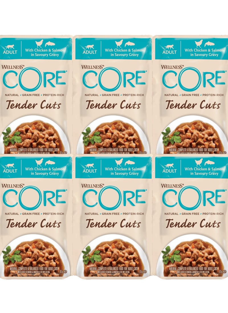 Wellness CORE Cat Wet Food Chicken And Salmon In Gravy Flavor For Adult Cats - 6x85g - Grain Free Wet Cat Food - Natural Protein Rich Cat Food  - Image 1