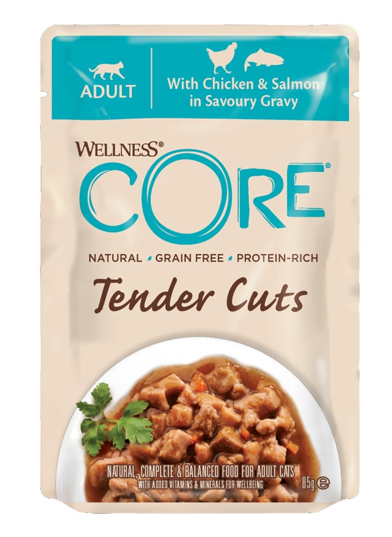 Wellness CORE Cat Wet Food Chicken And Salmon In Gravy Flavor For Adult Cats - 6x85g - Grain Free Wet Cat Food - Natural Protein Rich Cat Food  - Image 2