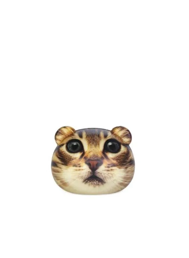 KIKKERLAND KIKKERLAND Feline Fine Stress Balls - Multi-color