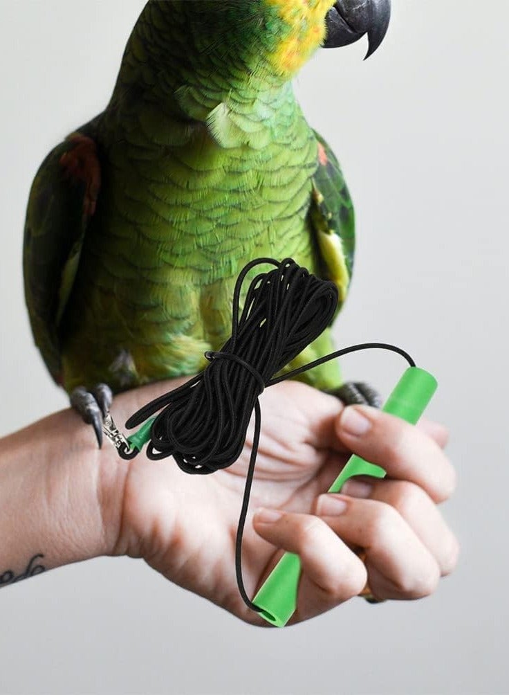 SYOSI 2 Pcs Bird Harness Anti Bite Bird Aviator Outdoor Bird Flying Training Rope Elastic Outdoor Bird Bird Harness Leash - Image 3