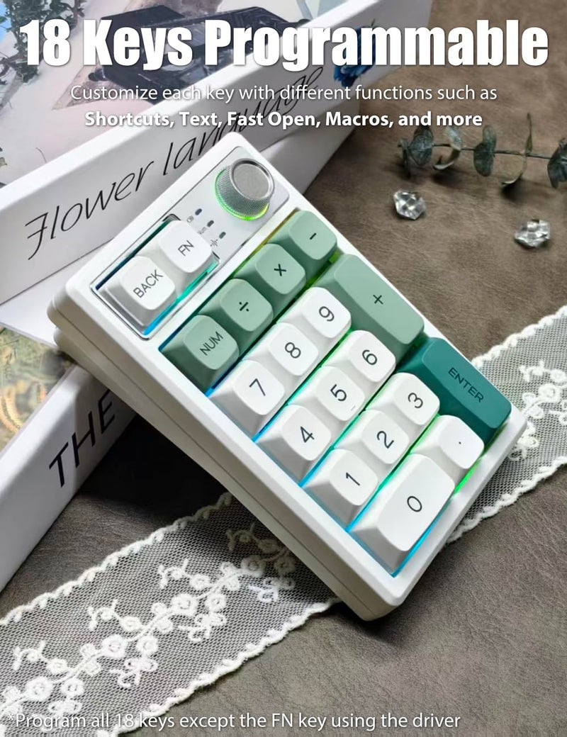 TISHLED Gasket Creamy Mechanical Numpad Programmable Macro Keypad Wireless 2.4G/Bluetooth 5.0/Wired USB-C RGB Backlit Hot Swappable Number Pad Rechargeable Numeric Keyboard Metal Knob, Botanic Garden - Image 4