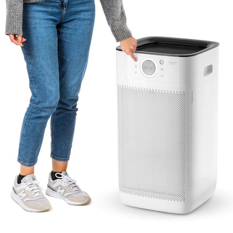 IRIS IRIS USA WOOZOO True HEPA Air Purifier H13 filter removes 9997 of particles pollen pet dander smoke and odors covers up to 2550 ft featuring auto mode air quality indicator and filtration