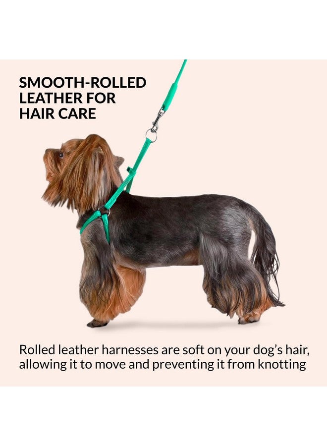 CollarDirect Rolled Leather Dog Harness Small Puppy Step-in Leash Lead Set for Walking 10 Colors (Black, XS) - Image 3