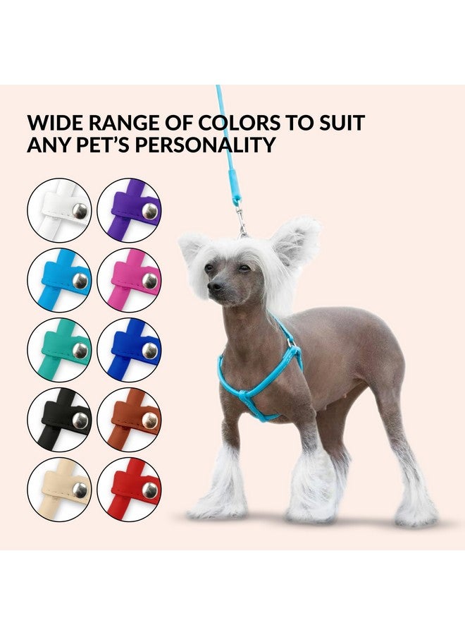 CollarDirect Rolled Leather Dog Harness Small Puppy Step-in Leash Lead Set for Walking 10 Colors (Black, XS) - Image 5