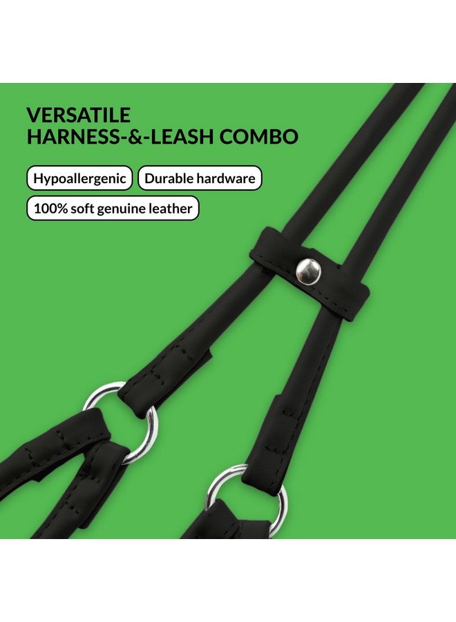 CollarDirect Rolled Leather Dog Harness Small Puppy Step-in Leash Lead Set for Walking 10 Colors (Black, XS) - Image 2