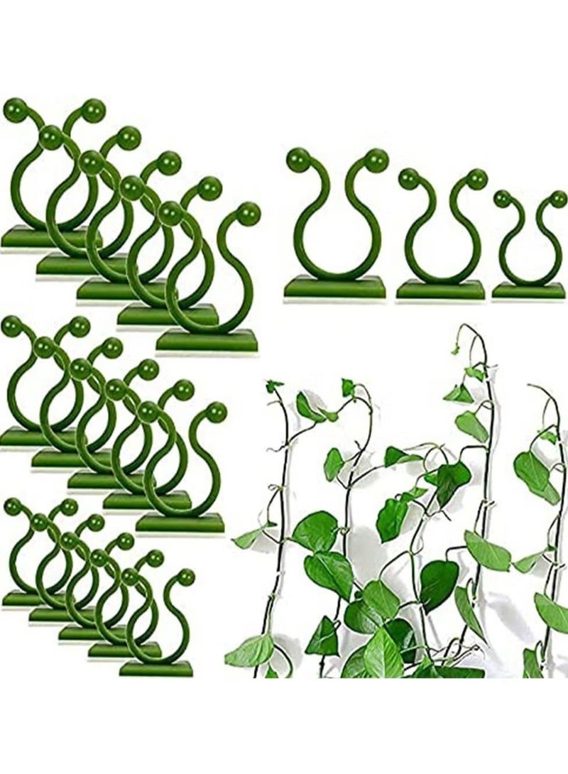JIMATOR 120 PCS Plant Vine Climbing Wall Fixture Clips - Green 3 Different Size Plant Support Plant Fixer Self-Adhesive Sticky Hook Plant Vine Traction Vines Fixing Clip Vines Holder (Green) - Image 1