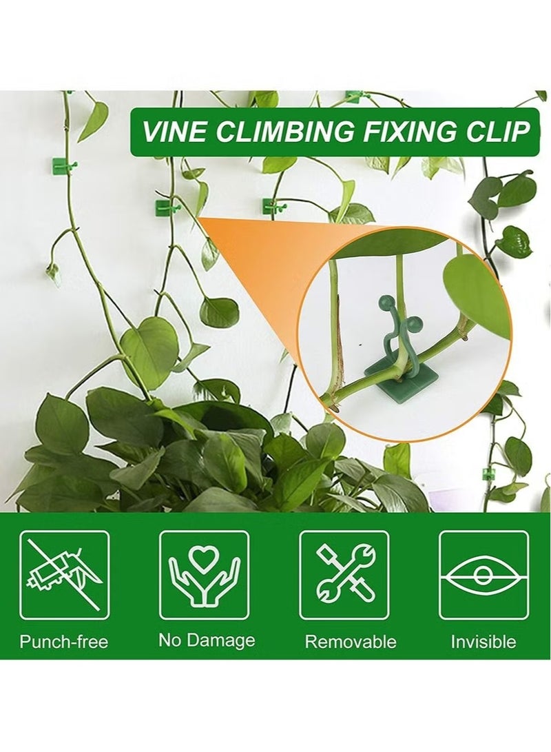 JIMATOR 120 PCS Plant Vine Climbing Wall Fixture Clips - Green 3 Different Size Plant Support Plant Fixer Self-Adhesive Sticky Hook Plant Vine Traction Vines Fixing Clip Vines Holder (Green) - Image 5