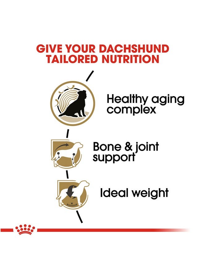 رويال كانين طعام جاف للكلاب البالغة من رويال كانين بريد هيلث نيوتريشن داشهند تيكل ٨+، كيس ٣ أرطال - Image 3