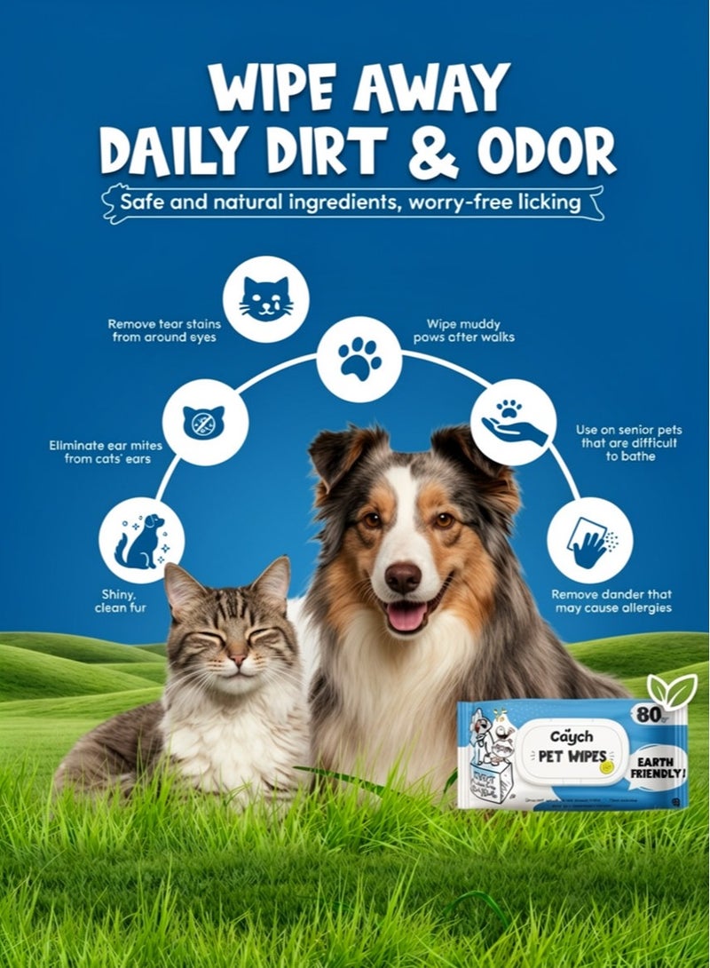 CAYCH Pet Wipes 80 x 12 - 960 Sheets for Dogs and Cats Antibacterial Hypoallergenic Grooming Wipes Deodorizing Eco Friendly Cleaning Wipes for Paws Body Eyes Ears and Daily Use - Image 2