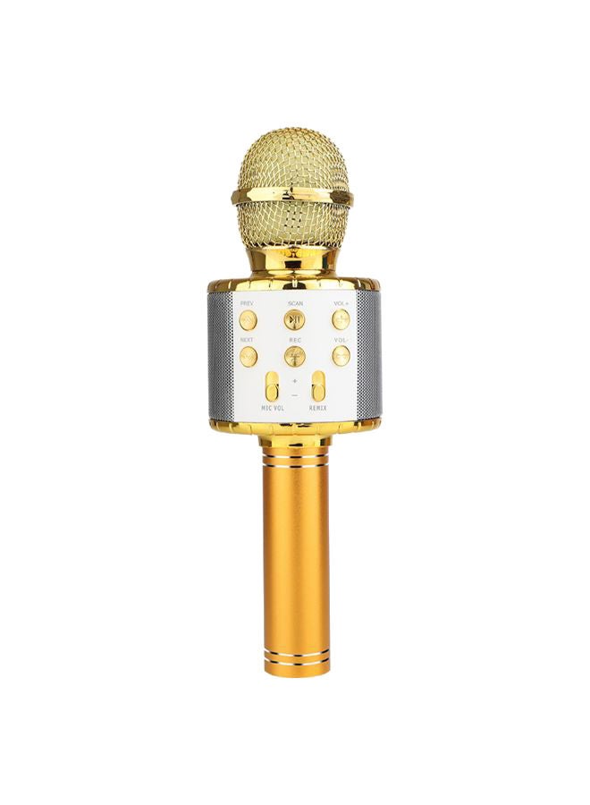 Portable BT Microphone Wireless Professional Speaker Music Player Handheld Singing Recorder Mic