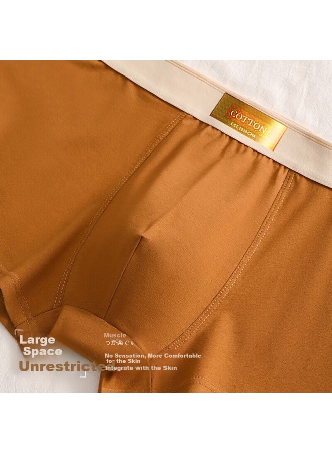 Me Feeling Men's Underwear, Pure Cotton 5a Antibacterial Boxer Briefs, Summer Sports Breathable Youth Boxer Shorts - Image 5