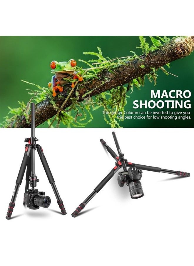 NEEWER 72 inch Camera Tripod Monopod with Center Column and Ball Head Aluminum, Arca Type QR Plate, Bag, Horizontal Tripod Overhead Camera Mount for DSLR Camera, Video Camcorder, Max Load: 33lb