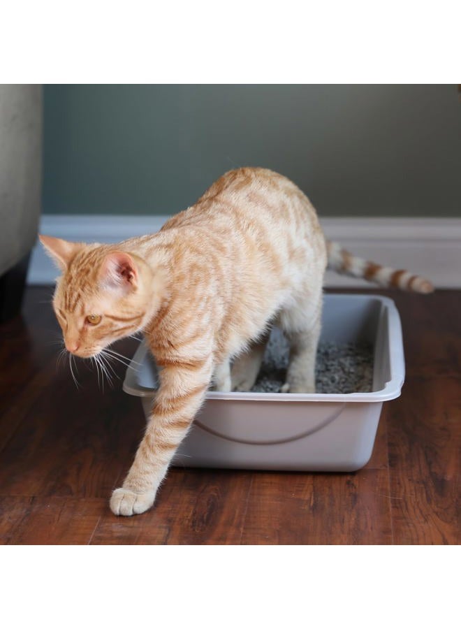 Petmate Open Cat Litter Box,Mouse Grey, Small (14"x10.5"x3.5") - Image 2
